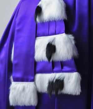 Epitoge satin acétate violet 3 rangs lapin herminée